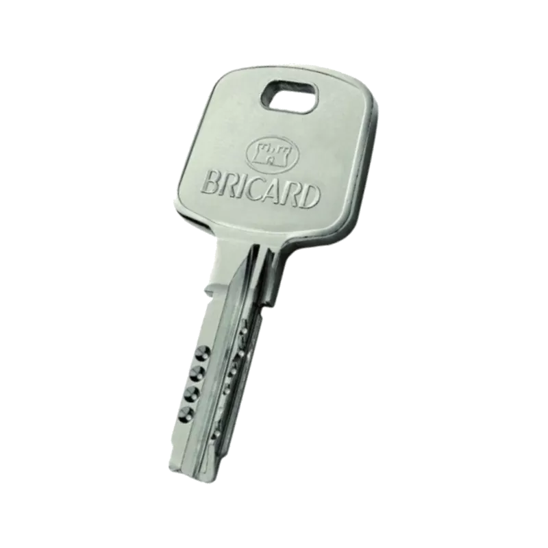 Bricard Serial XP "Partial/General Pass" key duplicate