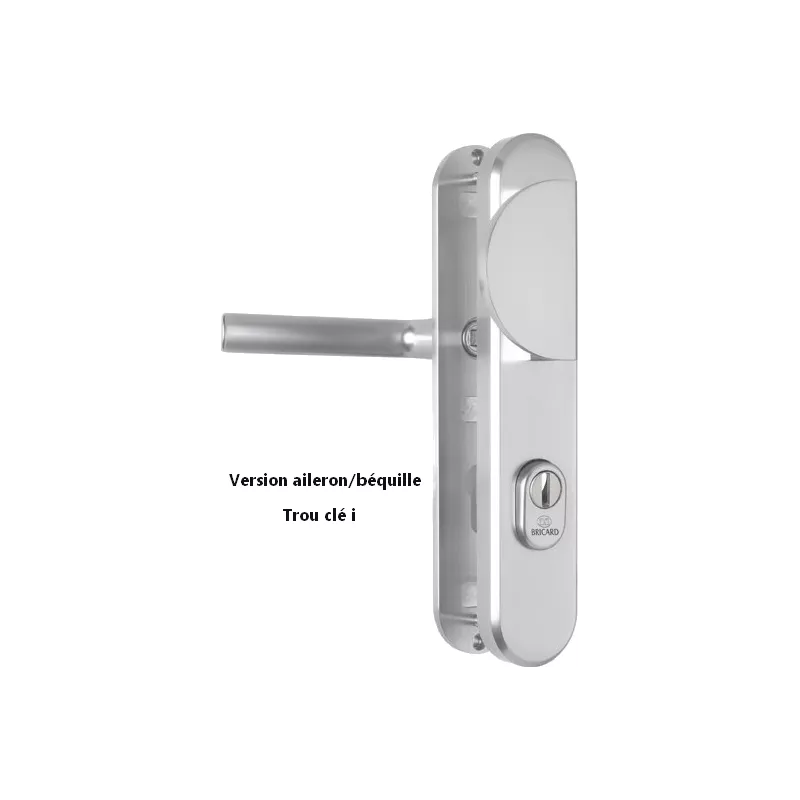 Door security handle set Bricard Osmose 250x50mm