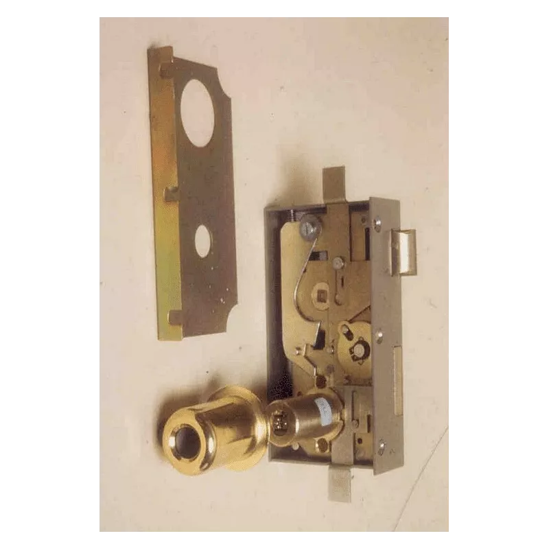 Boitier central de serrure Fichet Multipoint