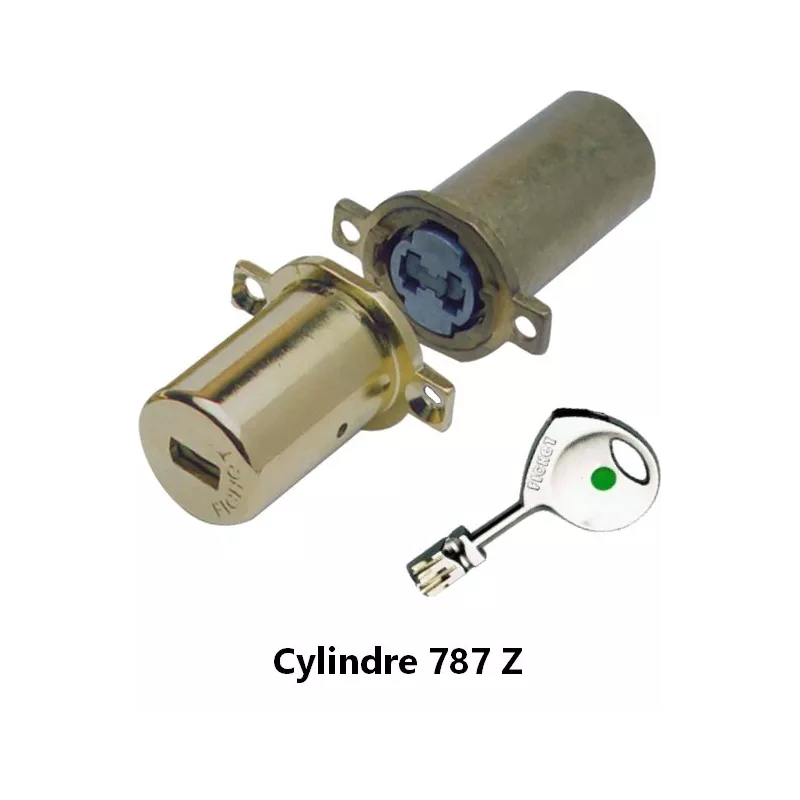 Boitier central de serrure Fichet Multipoint