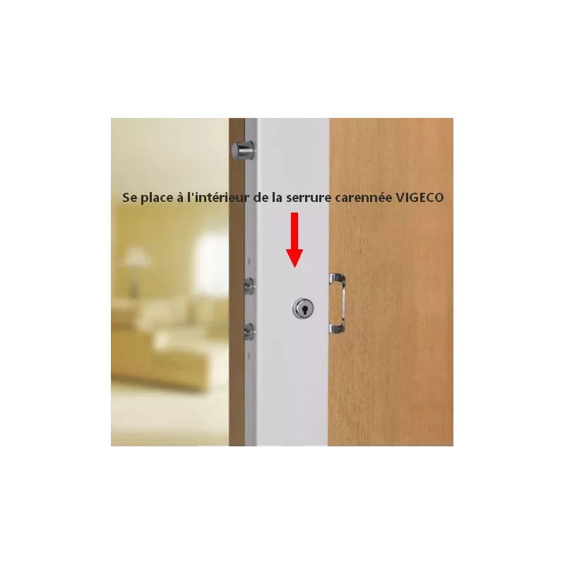 Central lock box Picard Vigeco 1