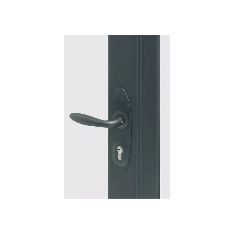 Bricard Vigiblock Lock