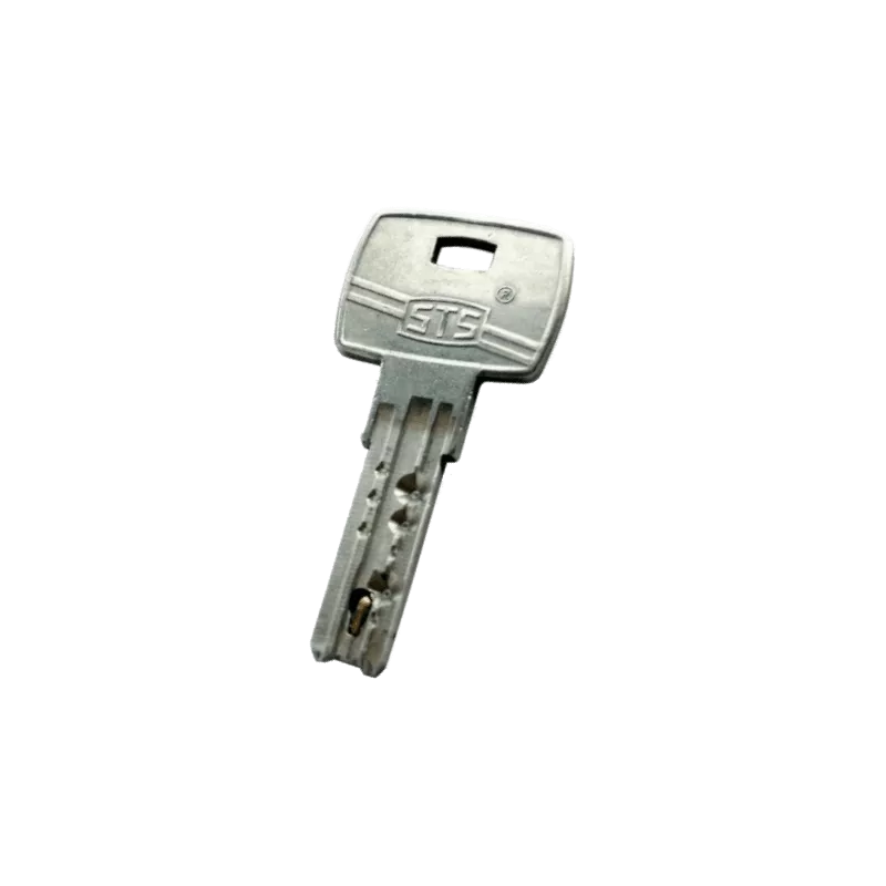 Tesa CS7 Duplicate Key