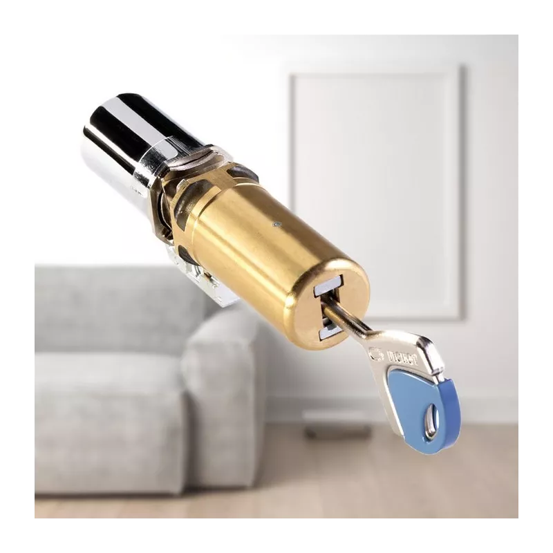 Fichet 787M cylinder for Door ProtecDoor+