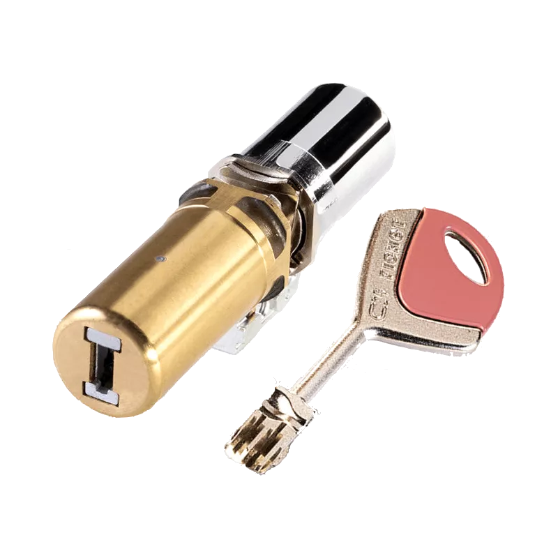 Cylindre Fichet 787M pour porte ProtecDoor+