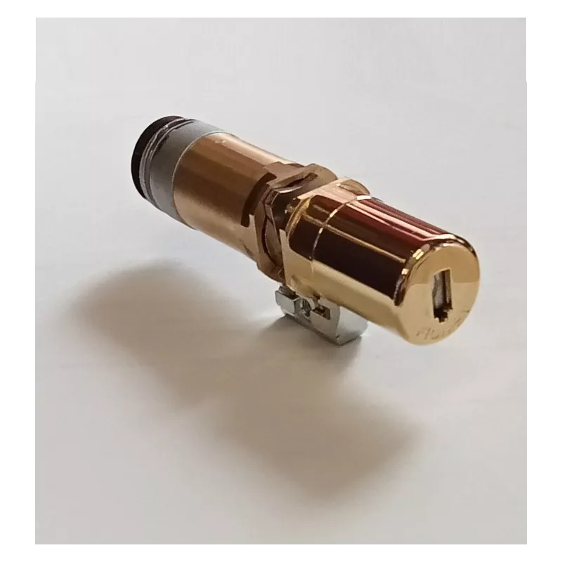 Fichet 787 M a2p3* lock Cylinder