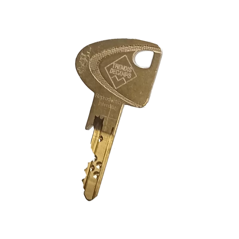 Double de clé TRENOIS VIP Pro