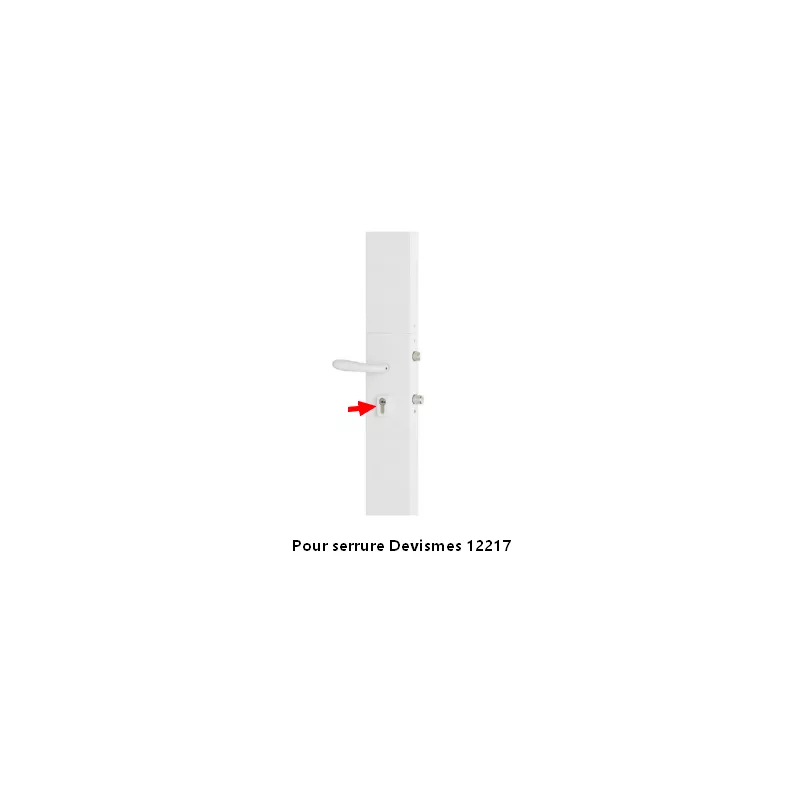 Cylindre roue dentée Devismes pour serrure 12217