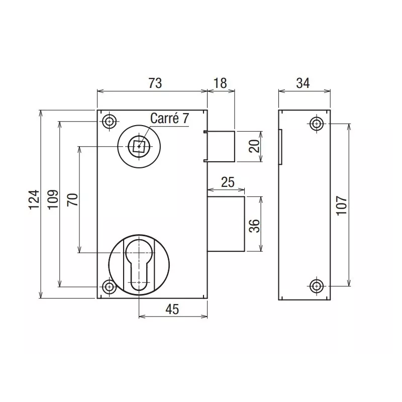 Surface mounted vertical lock - Devismes