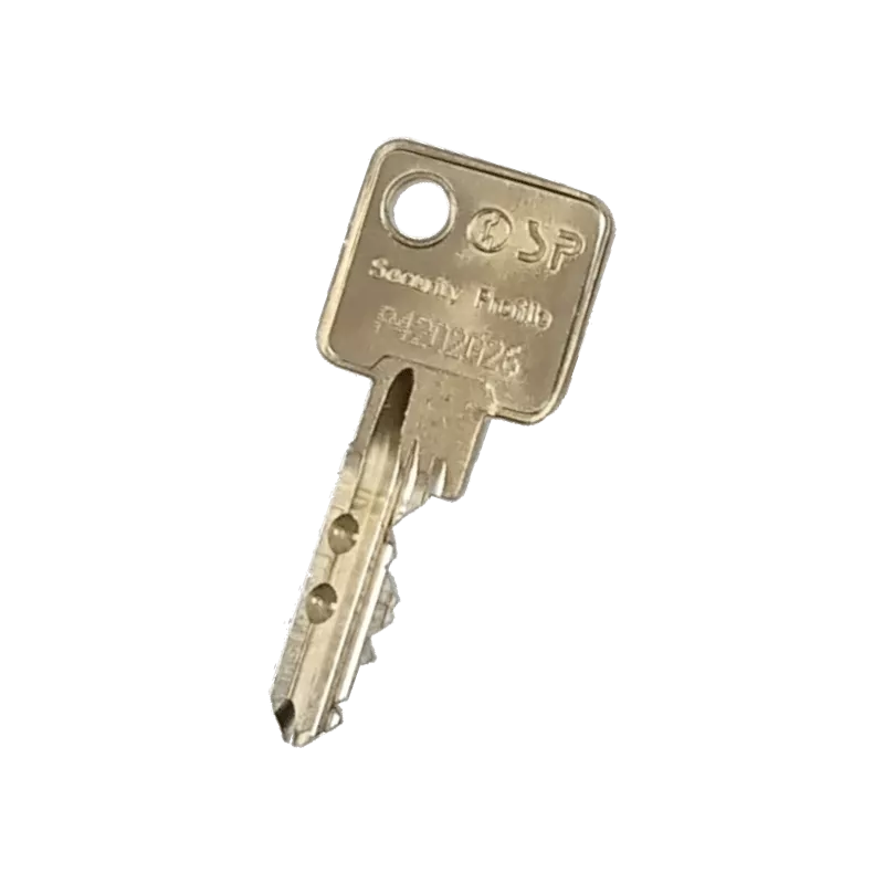 Cisa SP "Security Profile" Duplicate Key Cisa SP "Security Profile" Duplicate Key