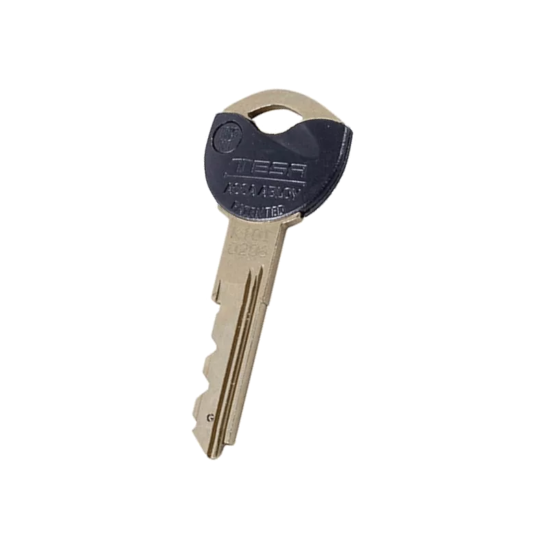 Tesa TK6 lock cylinder