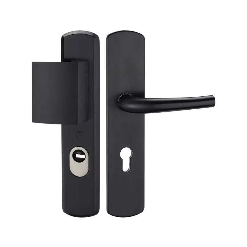 Armored handle Heracles Salomé A2P*