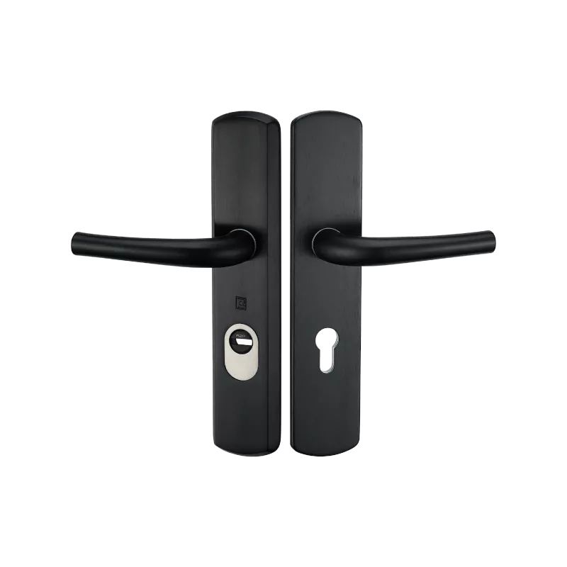 Poignée blindée Héraclès Salomé A2P* EA70