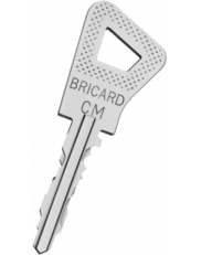 Bricard Bloctout key