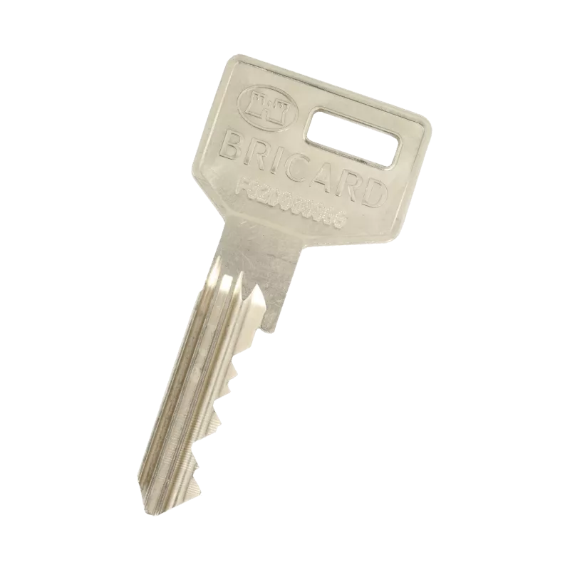 Bricard Octal Duplicate Key