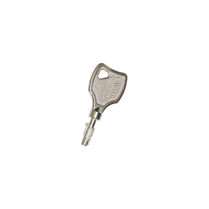 ISEO Cavith key