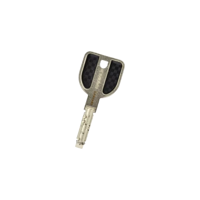 Duplicate of Pass Key Vachette Radialis