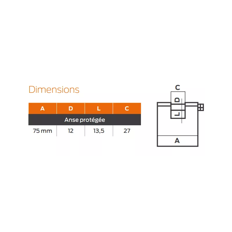 Bricard 2549 high security horizontal padlock