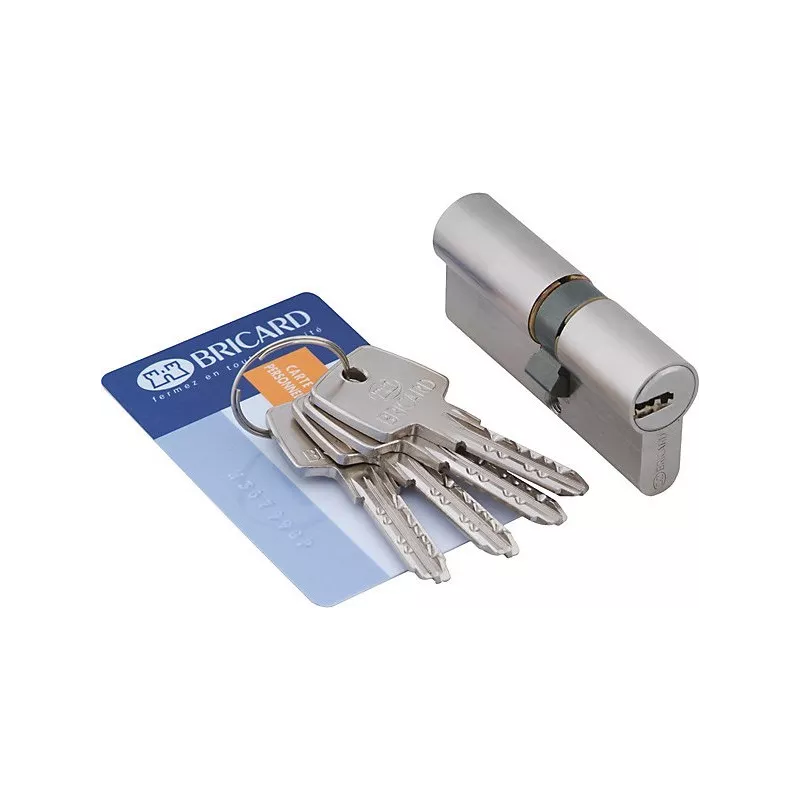 Bricard Astral cylinder