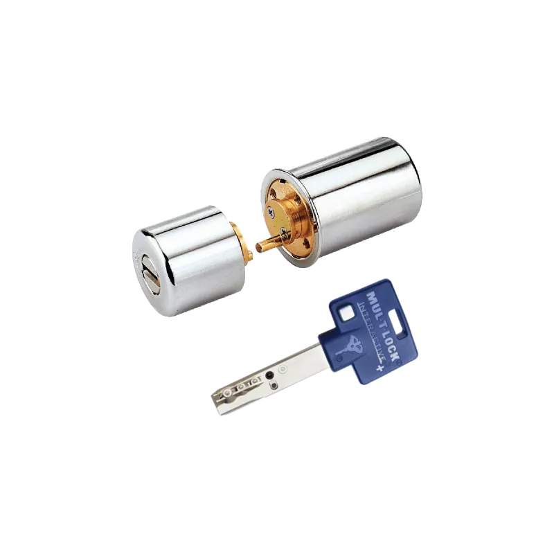 Cylindre Mul-T-Lock Interactive+ adaptable sur serrure CAVERS Cavith-Izis