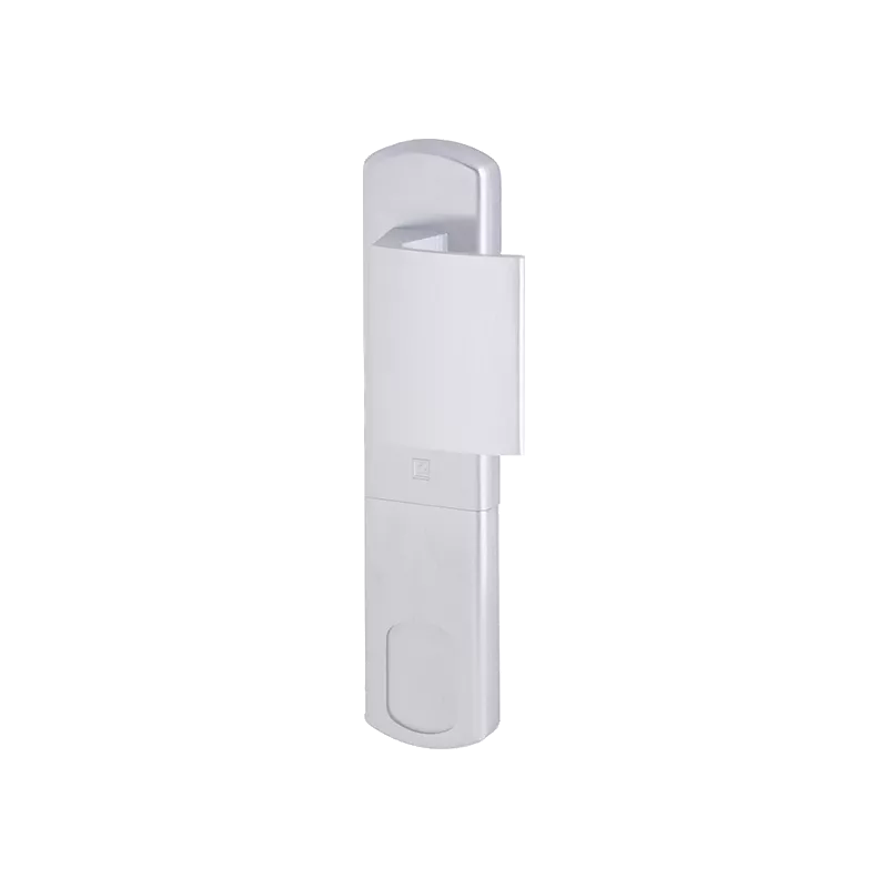 Poignée protège cylindre magnétique Heracles Salomé Grand format