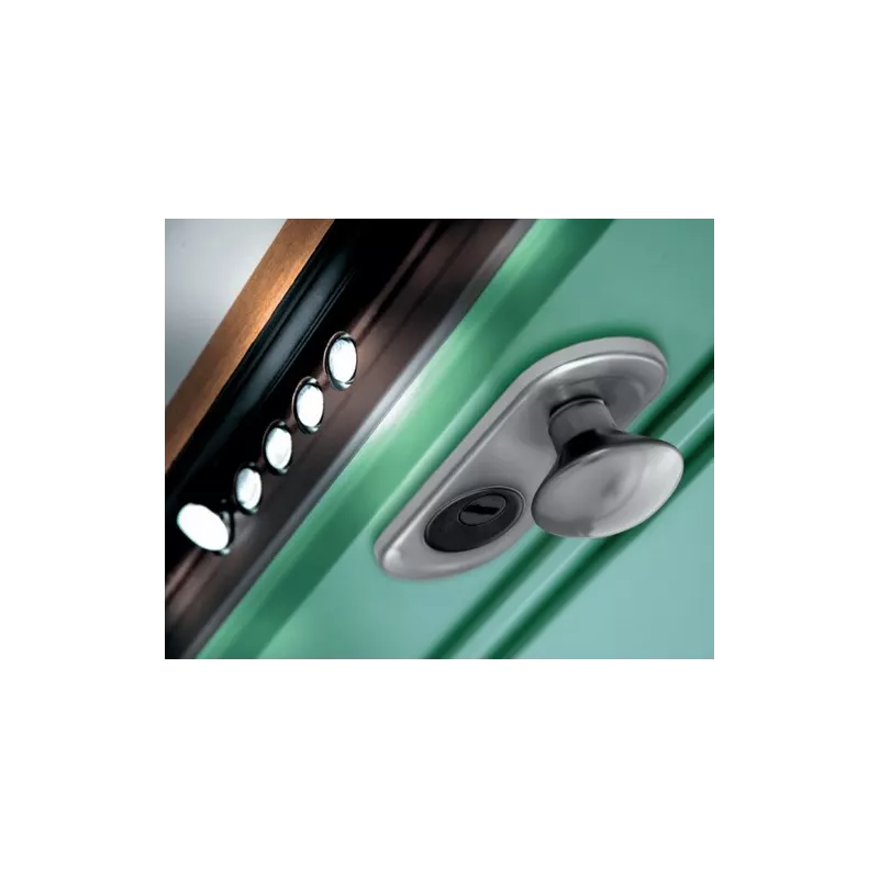 Knob for Dierre door