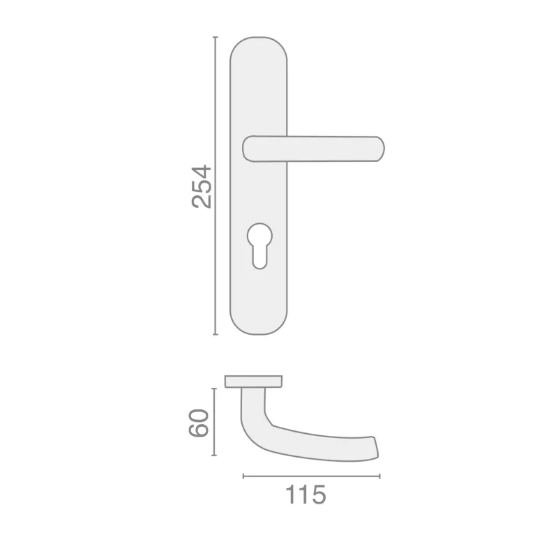 Internal lever handle on plate for magnetic Salomé