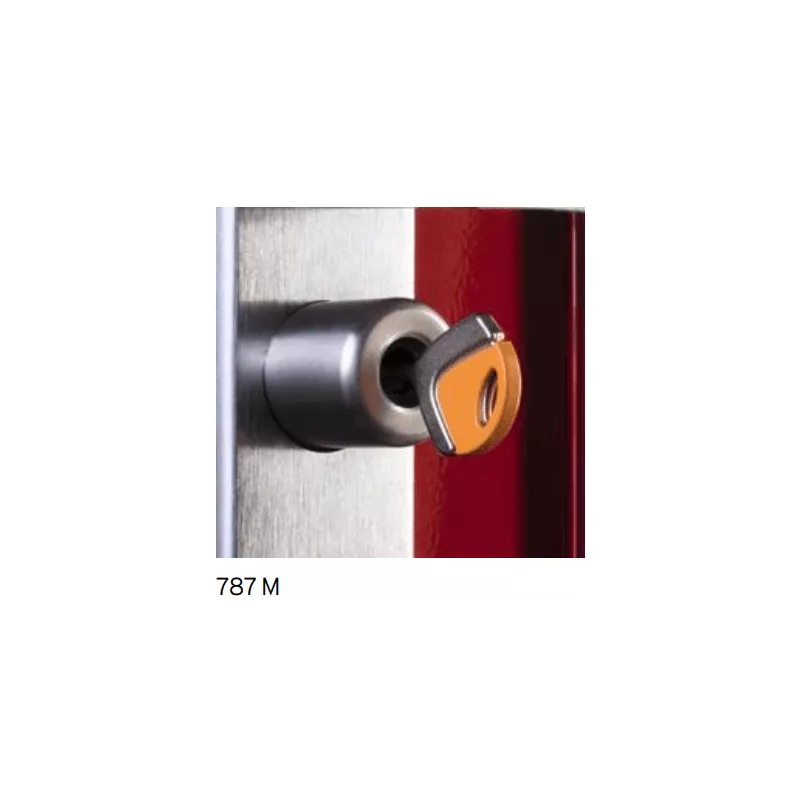 Serrure applique 3 points Fichet Alicea SP 787M