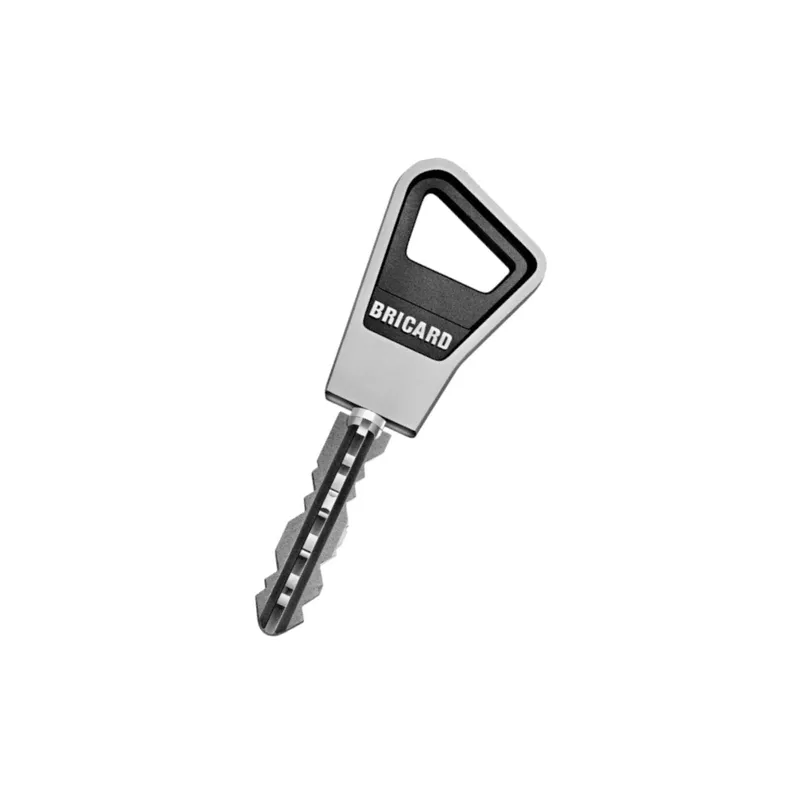 Serrure verticale Bricard 1100 Supérsûreté