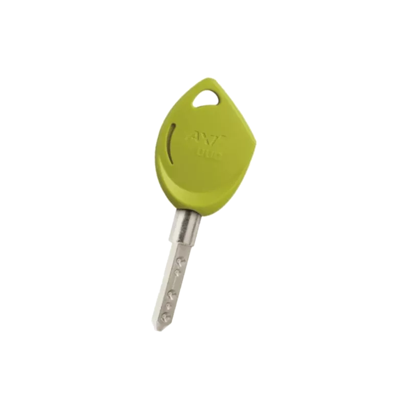 Double de clé Vachette Axi Home Duo