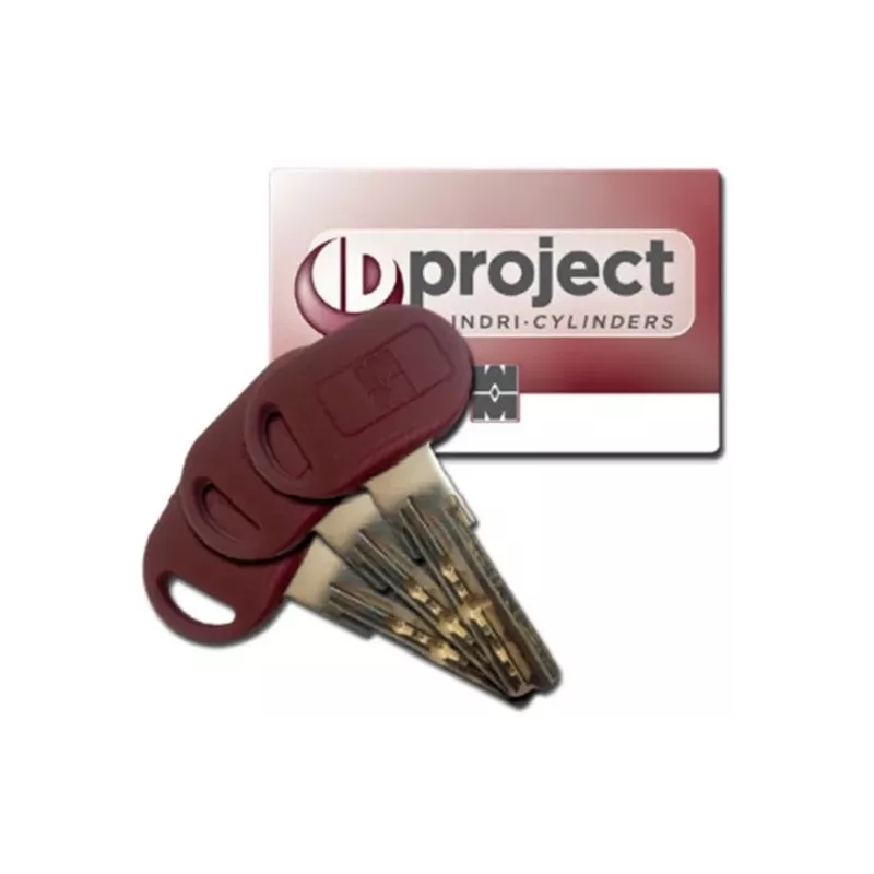 Mottura 49.XD1 electric gate lock