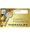 Serrure verticale monopoint Heracles en applique MX4500 SR
