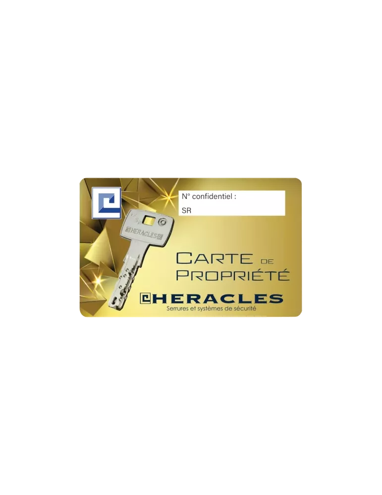 Serrure Héraclès verticale applique tirage MX4500 SR