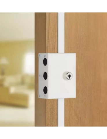 Gâche répétition pour Picard Trident