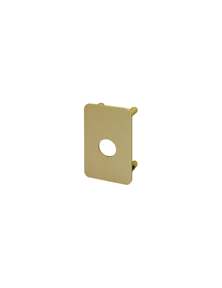 Back plate for Vachette Cyclop lock Back plate for Vachette Cyclop lock