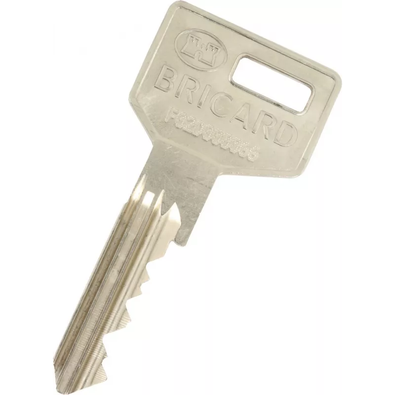 Supplementary Bricard Key Octal