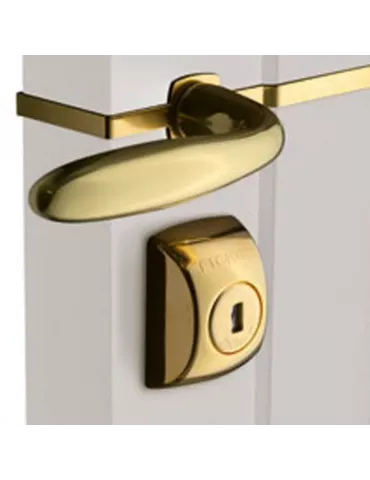 Accessory kit, inside, for Fichet Alicea locks, gold finish