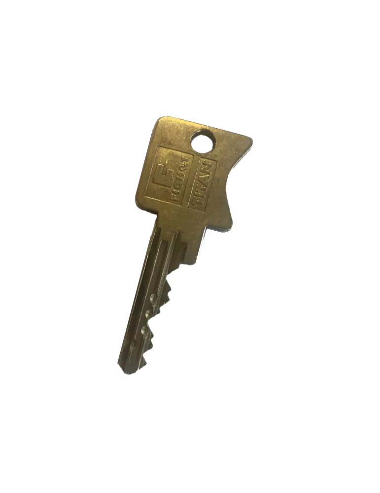 Fichet Standard spare key