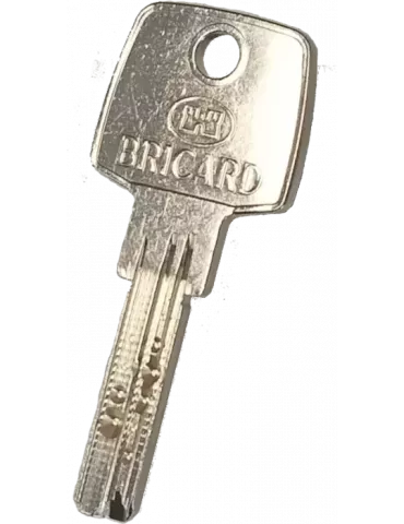 Clé Bricard Astral 2.4 Passe partout