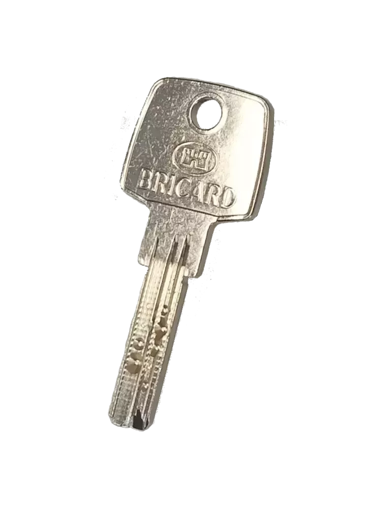Bricard Astral 2.4 pass key