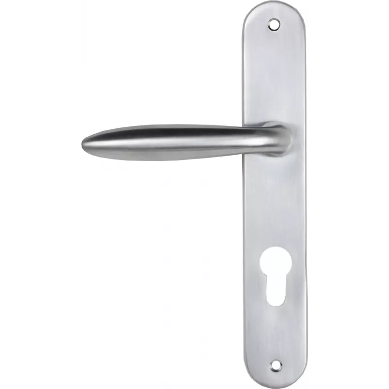 Door handle Bricard Esquisse