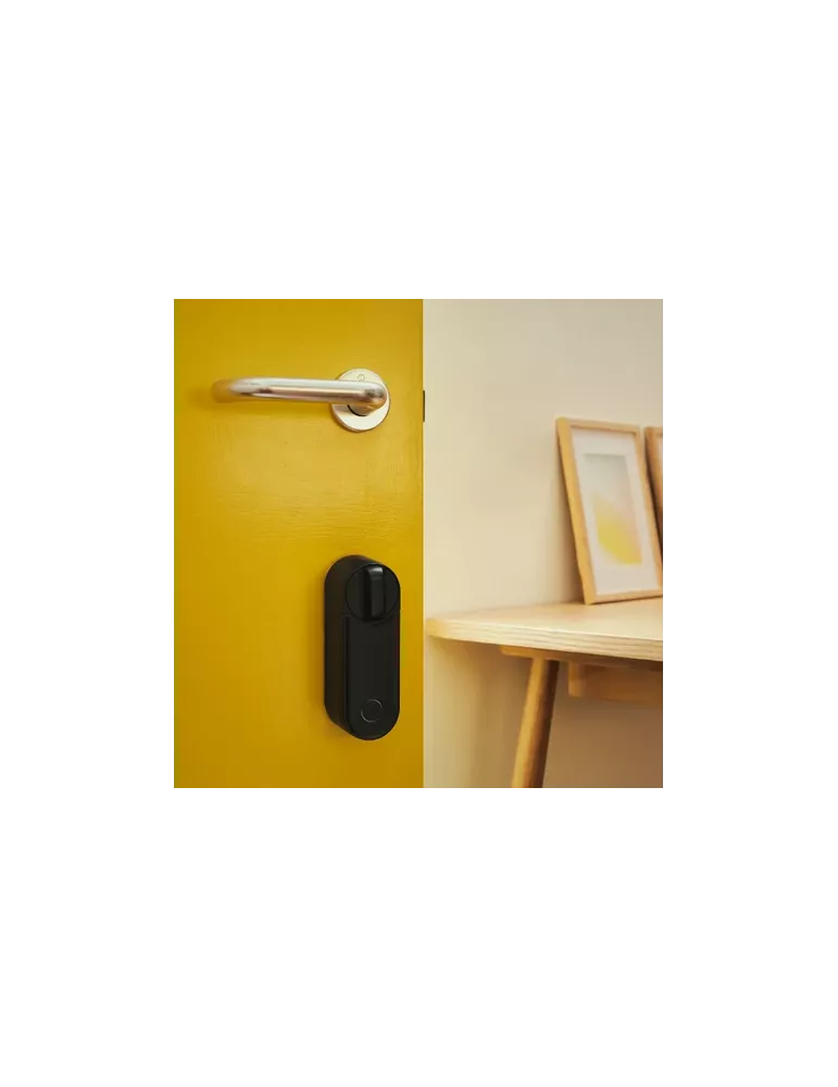 Yale Linus 2 for Fichet 787 cylinder