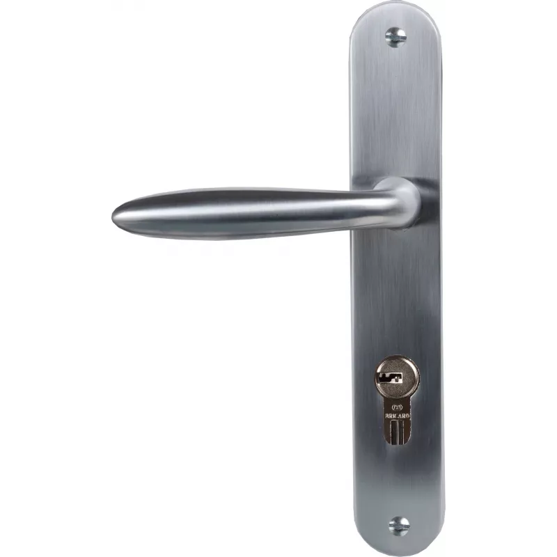 Door handle Bricard Esquisse