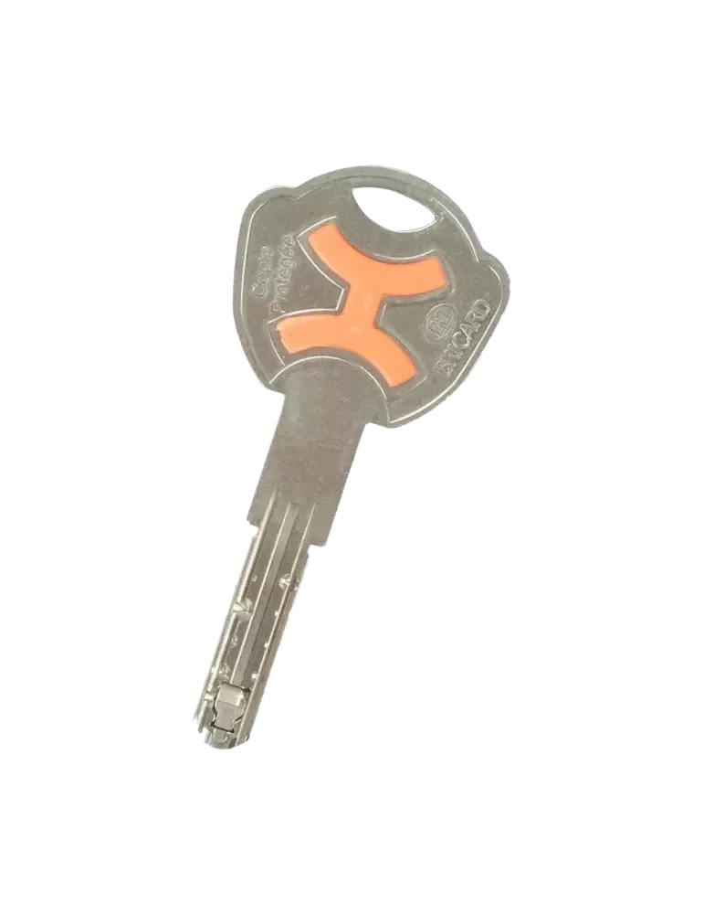 Bricard Chifral X40 pass key duplicate