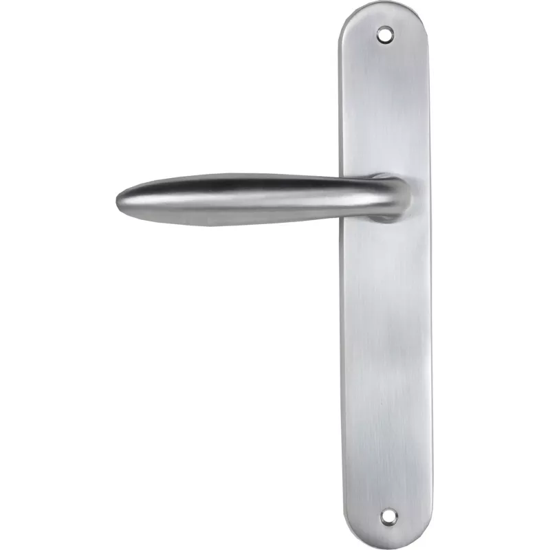 Door handle Bricard Esquisse