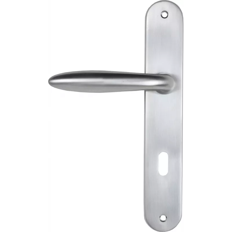 Door handle Bricard Esquisse