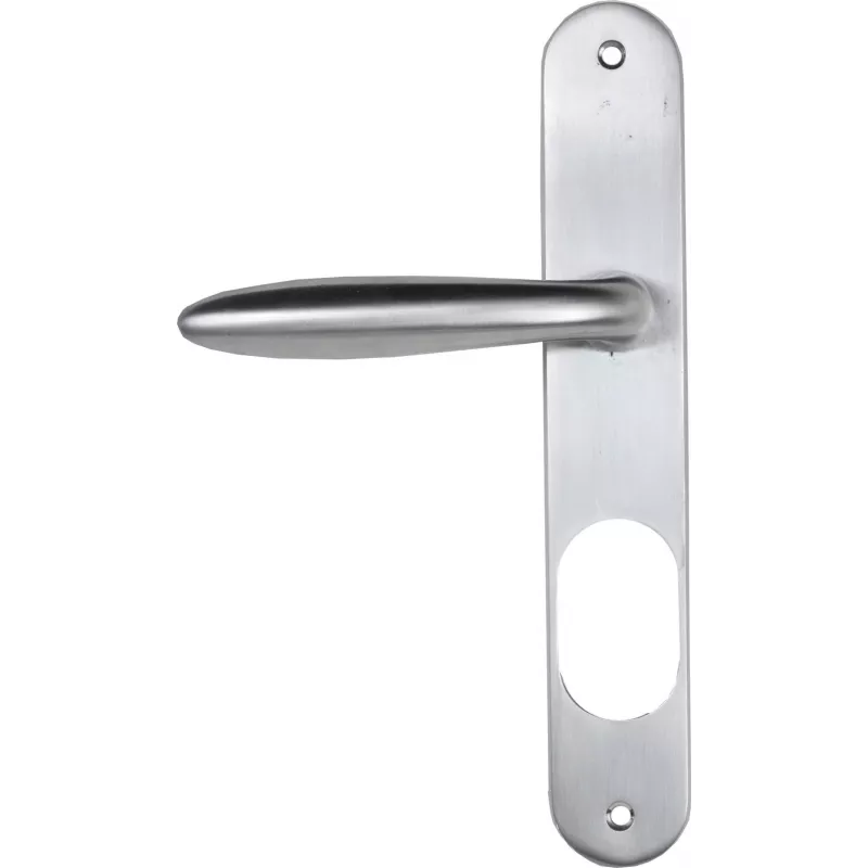 Door handle Bricard Esquisse