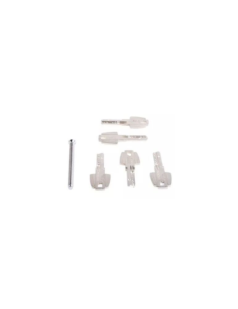 TESA T80 lock cylinder with knob