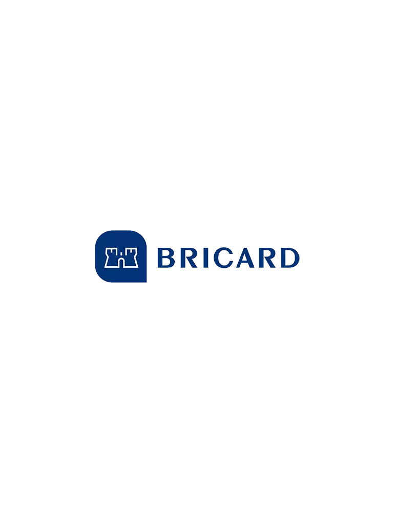 Jeu de 5 gâches pour Bricard 8162 à pênes rectangulaire