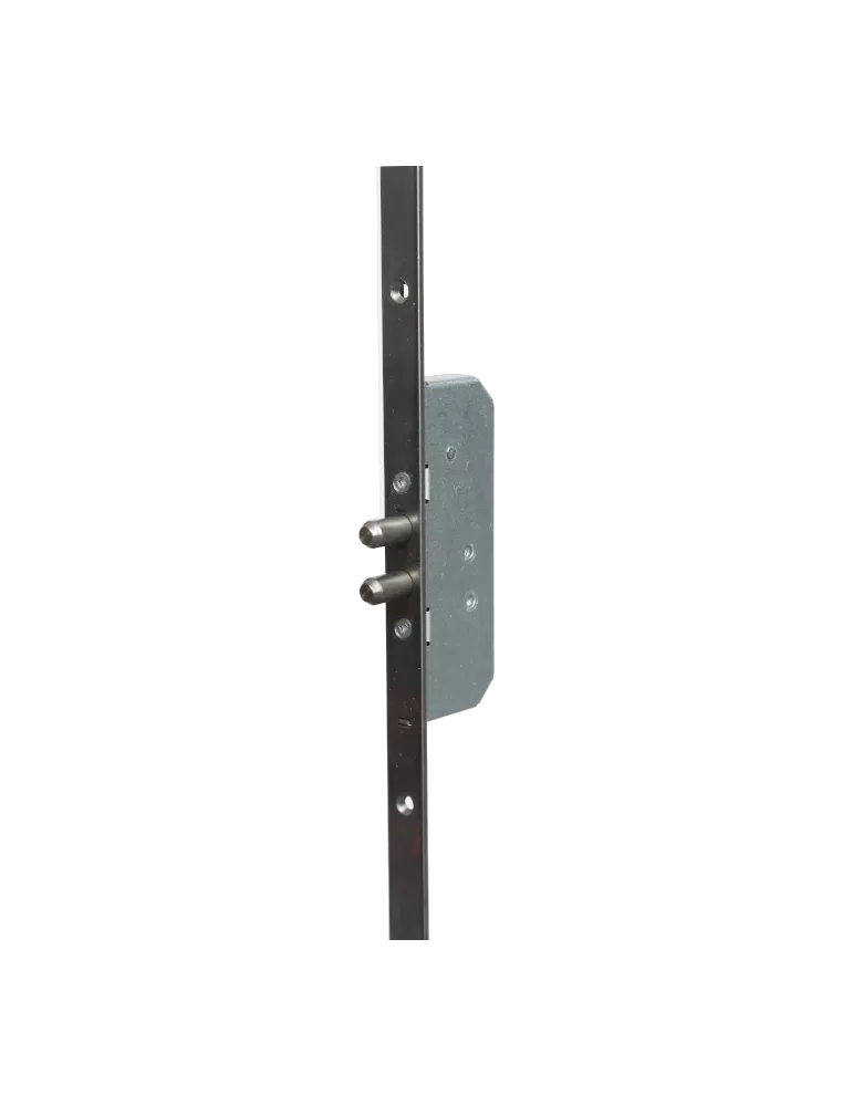 Serrure 3 points Bricard 8161 Evolution a2p1 à pênes ronds, 1700 x 18 mm